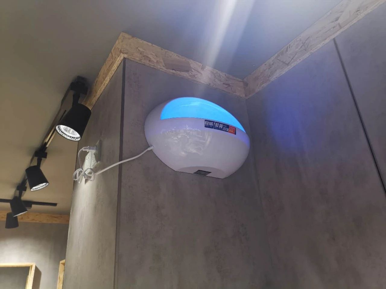 聪明的餐饮老板这样做蚊虫消杀工作